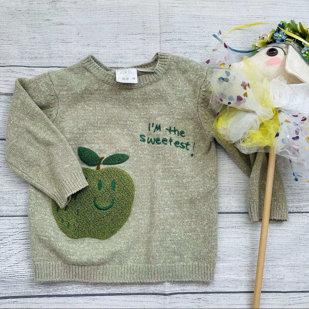 Zara Toddler Sweater